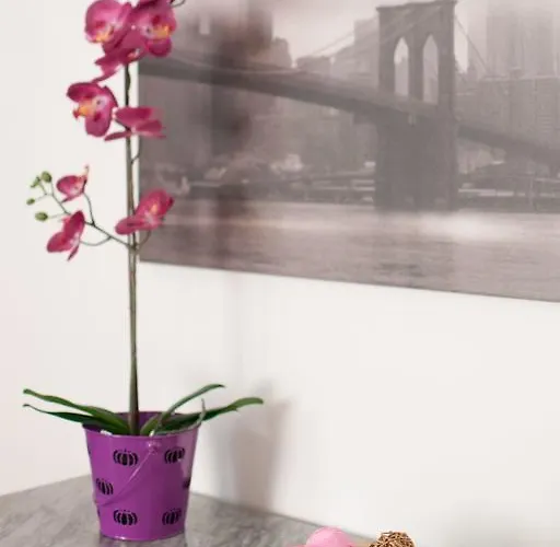 Ve-nice Giuffa C4834 Venecia